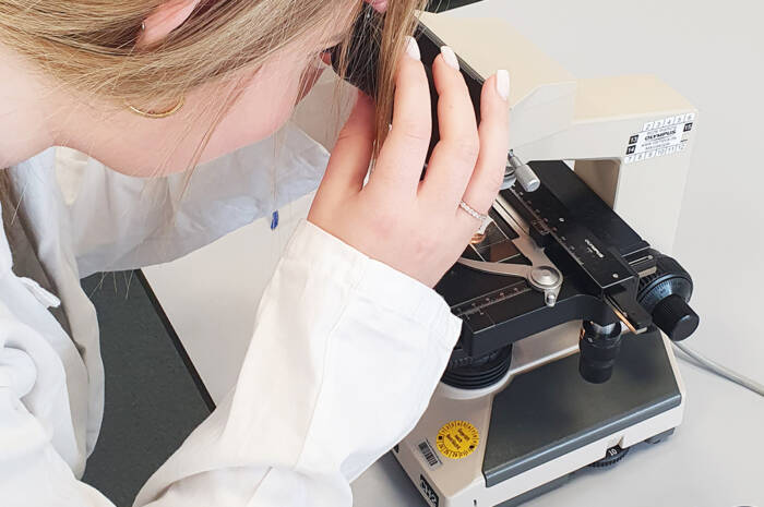 Schnuppertag am Berufskolleg Schnuppertag am Berufskolleg